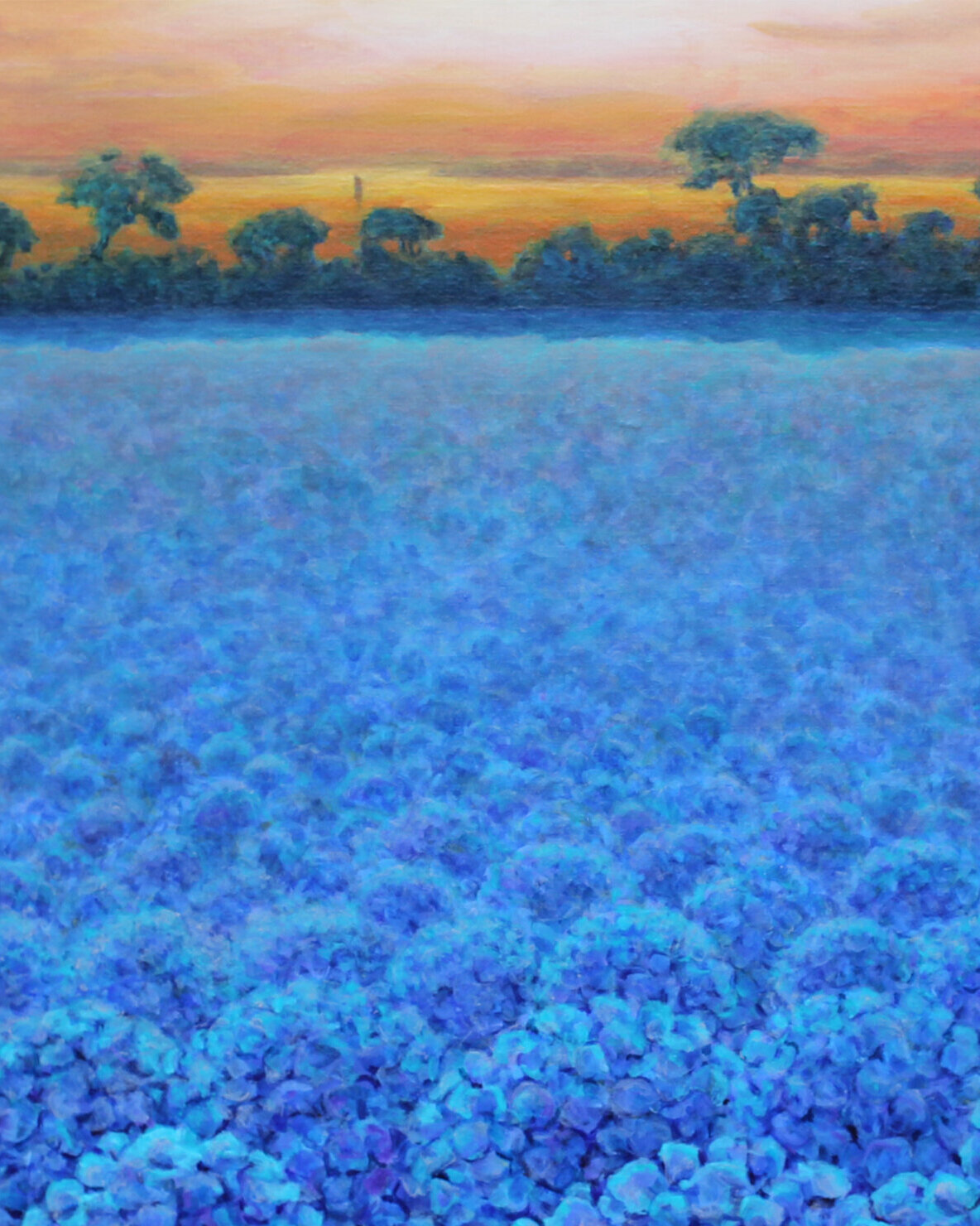 Landscapes