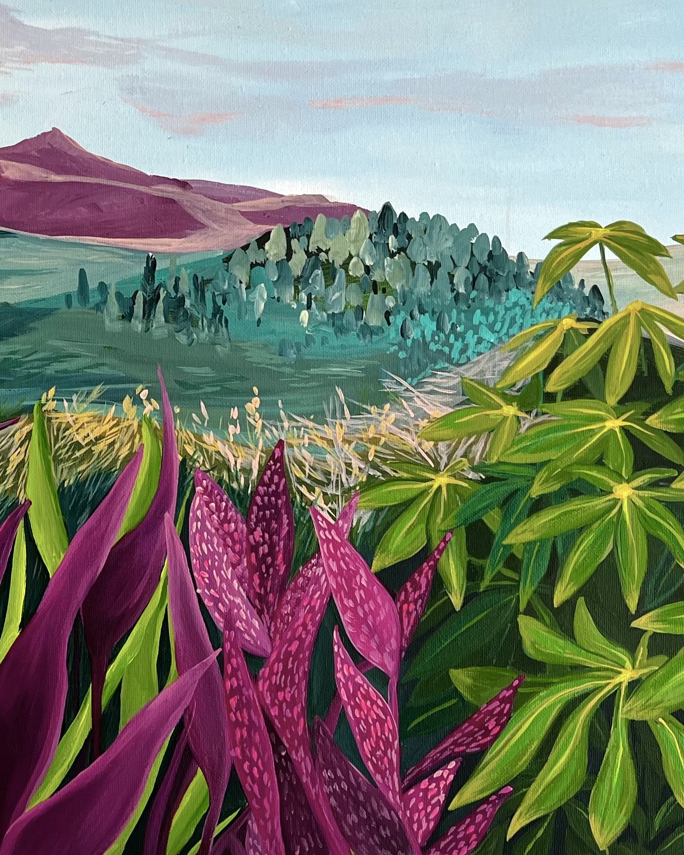 Landscapes